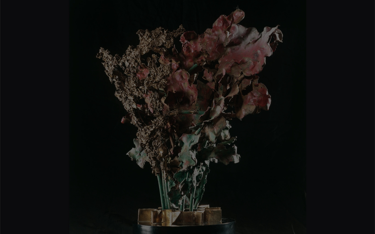 CANDIDA ROSA